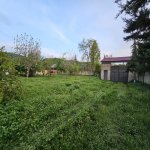 Satılır Torpaq Qəbələ 11