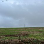 Satılır Torpaq Quba 1