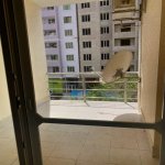 Kirayə (aylıq) 4 otaqlı Yeni Tikili, Nəsimi rayonu 2