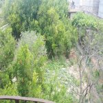 Satılır 6 otaqlı Həyət evi/villa, Əhmədli metrosu, kənd Əhmədli, Xətai rayonu 5