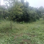 Satılır Torpaq Qəbələ 2