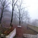 Kirayə (günlük) 3 otaqlı Bağ evi Qəbələ 11