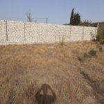 Satılır Torpaq, Maştağa qəs., Sabunçu rayonu 7