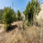 Satılır Torpaq, Novxanı, Abşeron rayonu 2