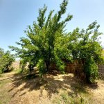 Satılır 7 otaqlı Bağ evi, Novxanı, Abşeron rayonu 8