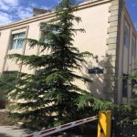 Satılır 1 otaqlı Yeni Tikili, Qara Qarayev metrosu, Nizami rayonu 2