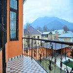 Kirayə (günlük) 7 otaqlı Bağ evi Qəbələ 22