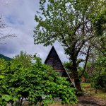 Kirayə (günlük) 1 otaqlı Bağ evi Zaqatala 1