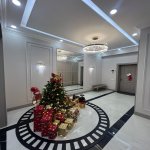 Продажа 3 комнатная Новостройка, м. Гянджлик метро, Насими район 13