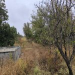 Продажа 4 комнатная Дача Шеки 13