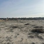 Satılır Torpaq, Novxanı, Abşeron rayonu 12