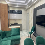 Kirayə (aylıq) 2 otaqlı Yeni Tikili, Nəriman Nərimanov metrosu, Nərimanov rayonu 2