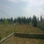 Satılır Torpaq, Maştağa qəs., Sabunçu rayonu 4