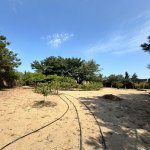 Продажа Участок, пос. Билгях, Сабунчу район 2