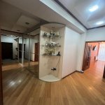 Kirayə (aylıq) 2 otaqlı Yeni Tikili, Nəriman Nərimanov metrosu, Metropark, Nərimanov rayonu 11