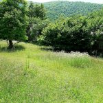 Satılır Torpaq Qax 16