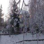 Kirayə (günlük) 4 otaqlı Həyət evi/villa Quba 37