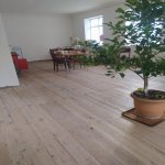 Satılır 5 otaqlı Bağ evi İsmayıllı 5