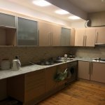 Kirayə (aylıq) 3 otaqlı Yeni Tikili, Gənclik metrosu, Nəsimi rayonu 9