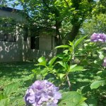 Kirayə (günlük) 4 otaqlı Həyət evi/villa Zaqatala 2