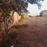 Satılır Torpaq, Lökbatan qəs., Qaradağ rayonu 3