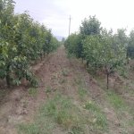 Satılır Torpaq Ağstafa 9