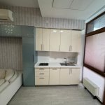 Продажа 3 комнатная Новостройка, м. Гянджлик метро, Насими район 5