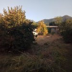 Satılır Torpaq Zaqatala 3