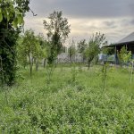 Satılır 4 otaqlı Həyət evi/villa İsmayıllı 11
