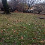 Продажа Участок Гябяля 1