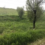Продажа Участок, м. Нариман Нариманов метро, пос. Монтин, Наримановский р-н район 1