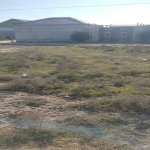 Satılır Torpaq, Yeni Ramana, Sabunçu rayonu 5