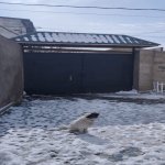 Satılır 3 otaqlı Həyət evi/villa, Əmircan qəs., Suraxanı rayonu 3