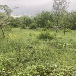 Satılır Torpaq Qəbələ 3