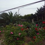 Продажа Участок, Мярдякан, Хязяр район 3