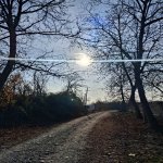 Satılır Torpaq Qəbələ 2