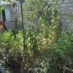 Satılır 4 otaqlı Həyət evi/villa, Binəqədi qəs., Binəqədi rayonu 3