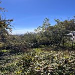 Satılır Torpaq Şamaxı 6