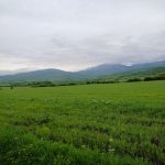 Satılır Torpaq İsmayıllı 2