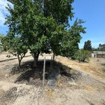 Satılır Torpaq, Şüvəlan, Xəzər rayonu 8