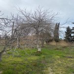 Satılır Torpaq, Goradil, Abşeron rayonu 6