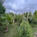 Satılır 5 otaqlı Bağ evi, Mərdəkan, Xəzər rayonu 3