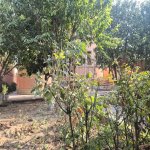 Продажа 5 комнатная Дома/Виллы, Сарай, Абшерон район 49