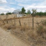 Satılır Torpaq Şamaxı 3