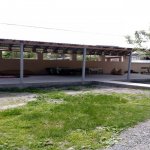 Kirayə (günlük) 4 otaqlı Həyət evi/villa Qəbələ 24