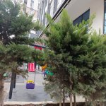 Kirayə (aylıq) 2 otaqlı Yeni Tikili, Nəriman Nərimanov metrosu, Nərimanov rayonu 21