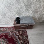Kirayə (aylıq) 2 otaqlı Yeni Tikili, 8-ci mikrorayon, Binəqədi rayonu 5