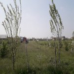 Satılır Torpaq Quba 1