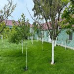 Продажа 5 комнат Дома/Виллы, Сабунчу район 15