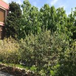 Satılır 5 otaqlı Həyət evi/villa, Bilgəh qəs., Sabunçu rayonu 41